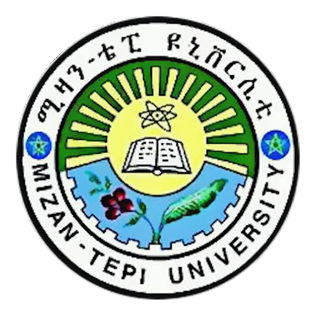 Mizan-Tepi University